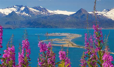 Homer, Alaska and Kenai Peninsula Flight Tours — Beluga Air