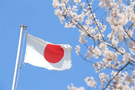 G7: Japan – Introducing the Japanese Hydrogen Association | Exclusive | H2 View