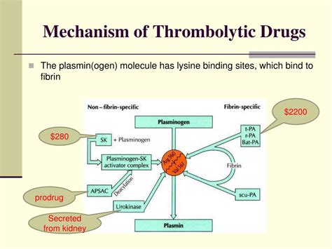 PPT - THROMBOLYTIC DRUGS Pathophysiologic Rationale PowerPoint ...