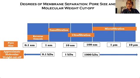 Types of membranes: Pore Sizes and Molecular Weight Cut-off - YouTube