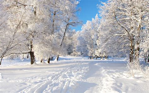 Snow Scenery Wallpapers - Wallpaper Cave