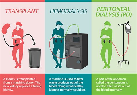 Peritoneal Dialysis Infographic - La Isla Foundation