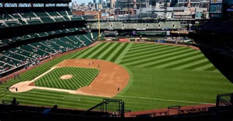 The Definitive Guide To Major League Baseball Stadium Grass