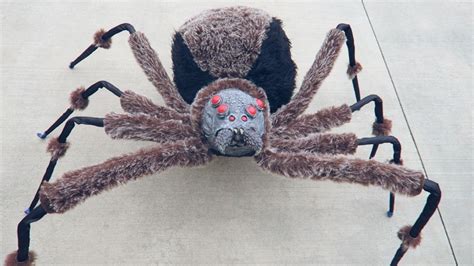 Crazy Giant Spider Prank! - Badchix Magazine