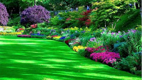 Beautiful Flower Garden HD Wallpaper