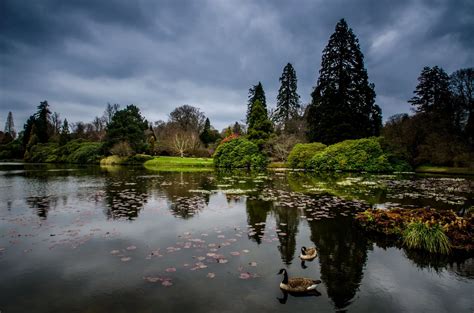 Top Photo Spots at Sheffield Park in 2024