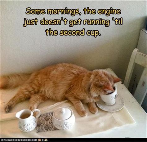 Funny Morning Coffee | Funny Picture Dump Of The Day – 32 Pics | Coffee | Pinterest | Funny ...