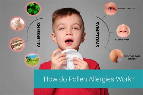 What Are the Different Types of Pollen Allergies? - Tottori Allergy ...