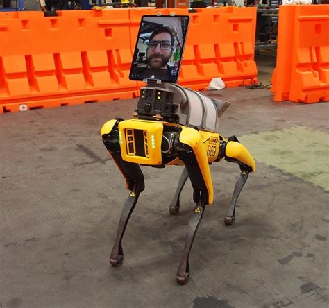 This Intelligent Robot Dog Helps Developers Learn