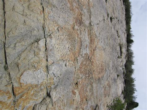 2012 Road Trip Photos #6: Fossils and Folly at Dinosaur Ridge « Midlife Crisis Crossover!