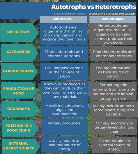 Difference Between Autotrophs and Heterptrophs | Compare the Difference ...