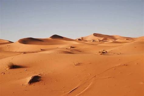 8 Fakta Gurun Sahara, Padang Pasir di Bagian Utara Afrika | kumparan.com