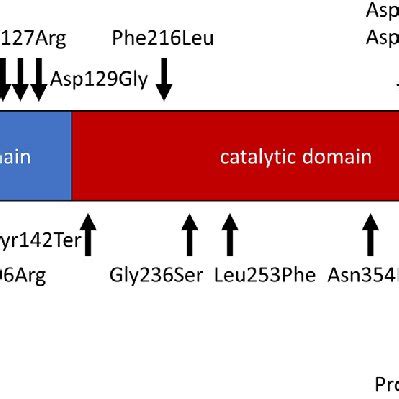 Figure2.Domain of the PCSK9 gene. PCSK9 encodes a 692-amino-acid... | Download Scientific Diagram