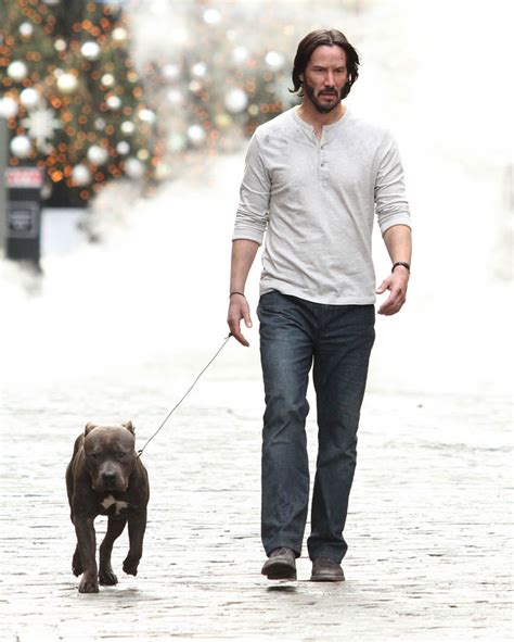 Keanu Reeves not sad and with a dog on the set of John Wick 2 in NYC ...