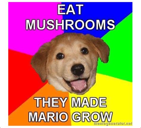 Example of an Advice Dog image macro, the meme which spawned a larger... | Download Scientific ...