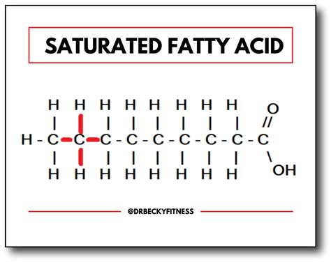 Which Fats are Good and Bad? - Dr Becky Fitness