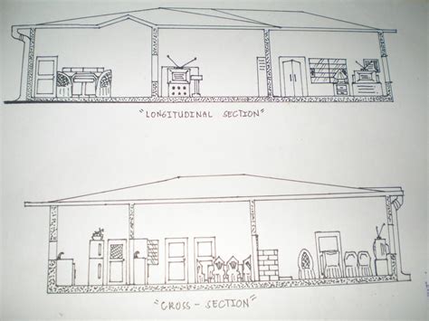 Longitudinal Section and Cross-Section--my drawing by AchieCarigma on DeviantArt