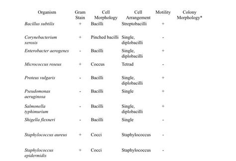 Solved Can you help me with the Colony Morphology of these | Chegg.com