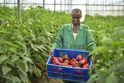 Rwanda-Israel Horticulture Deal to Cut Down on Imports – KT PRESS