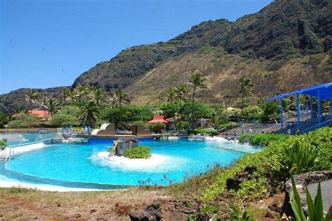 Sea Life Park Hawaii - All You Need to Know BEFORE You Go (2024)