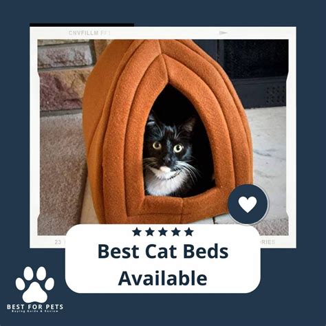 15 Best Cat Beds Available - BestForPets.org