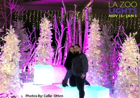 La Zoo Christmas Lights Reviews | Shelly Lighting