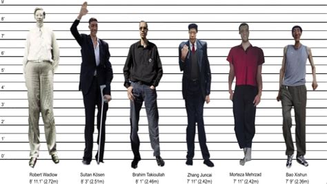 Pictures Of The Tallest Man In The World, Tales Of The Tallest Men In ...