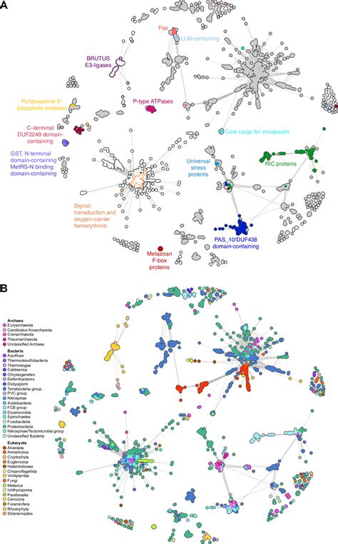 Structure, function and evolution of the hemerythrin-like domain superfamily. - Abstract ...