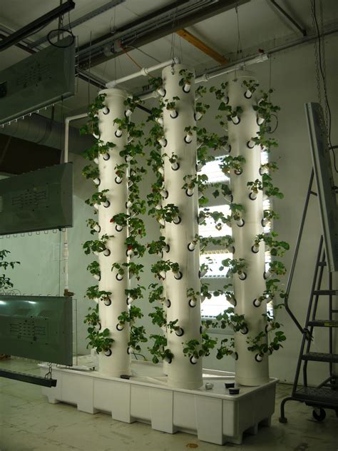 Aeroponic system lighting #aeroponics | Aquaponics, Hydroponic gardening, Aquaponics diy