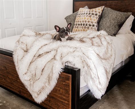 PupProtector™ Waterproof Throw Blanket - White with Brown Accents | Dog ...