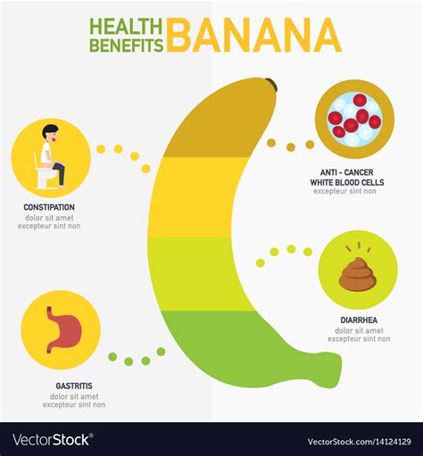 Health benefits banana infographics Royalty Free Vector