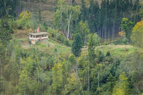 Wildlife watching in Romania: how to connect with stunning nature ...