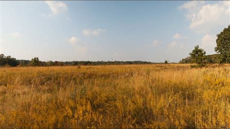 Bringing back Piedmont Prairies - YouTube