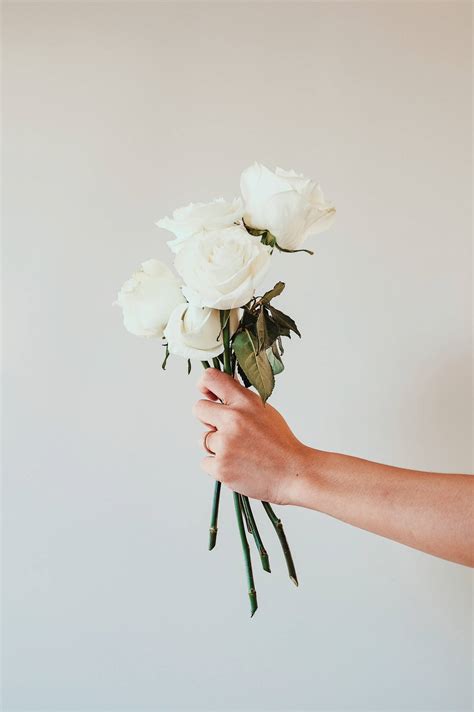 Download Caption: Striking White Rose Bouquet Wallpaper | Wallpapers.com