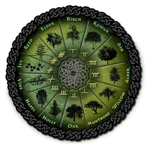 Ogham Tree Calendar