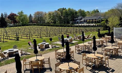 Peconic Bay Vineyards reopens after 8 years