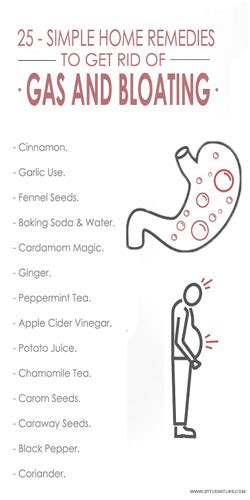 25 Amazing Home Remedies For Gas Problem | Styles At Life