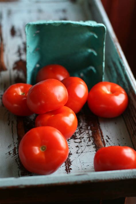 Armenian Cucumber & Tomato Salad | The Kitchen Scout