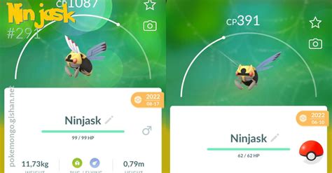 Ninjask - Pokemon Go