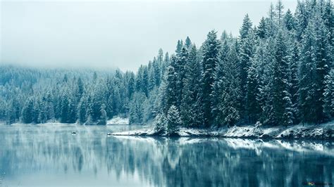 Winter is Coming Here 4K wallpaper download