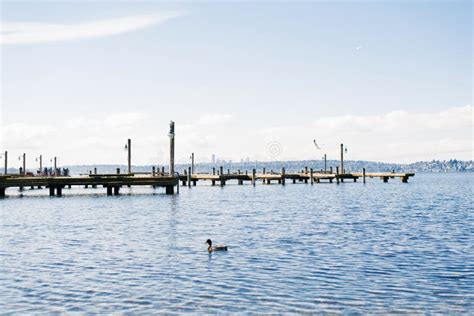 Kirkland, Washington, USA. February 2020. The Waterfront Of Lake ...