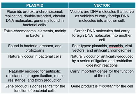 A Brief Introduction of Plasmid Preparation - Synbio Technologies