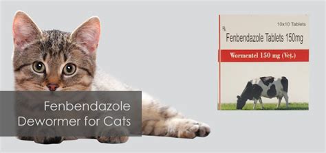 Understanding Fenbendazole Dewormer for Cats