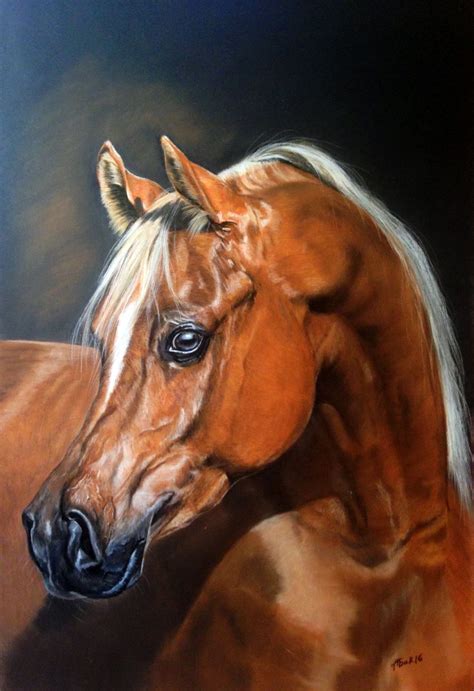 1970 best Arabian Horse Art images on Pinterest | Horse art, Arabian ...