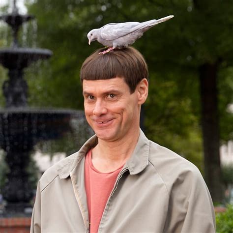 Jim Carrey in Dumb and Dumber To - Movie Fanatic