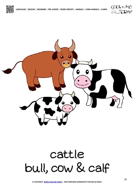 Farm animal flashcard Cattle - Printable card of Cows