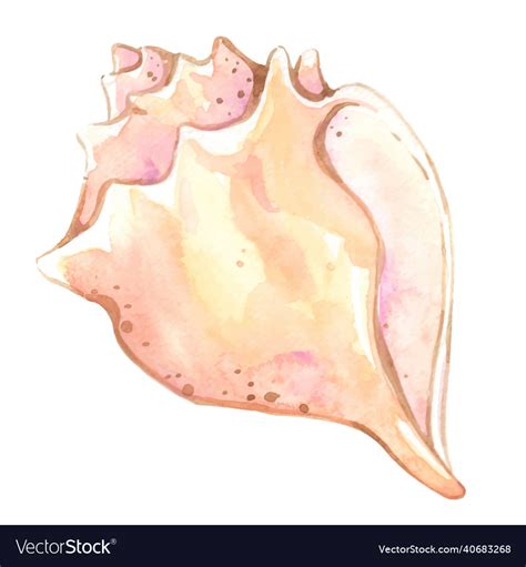 Sea shell watercolor for life Royalty Free Vector Image