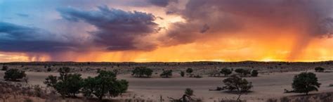 kalahari desert vs sahara | Africa Safari Guide