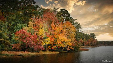 Autumn Colors at Newport News City Park (3636x2054) [OC] : r/LandscapePhotography