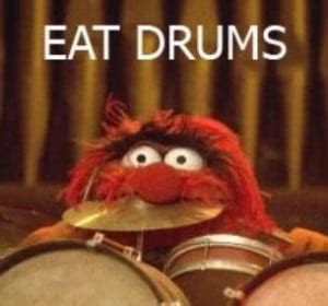 Animal Muppet Quotes. QuotesGram